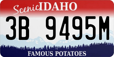 ID license plate 3B9495M
