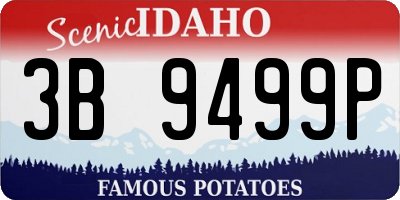 ID license plate 3B9499P