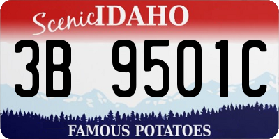 ID license plate 3B9501C