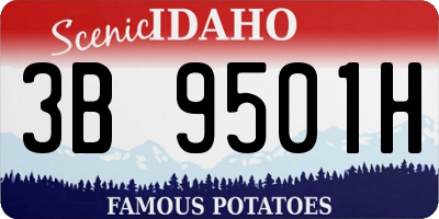 ID license plate 3B9501H