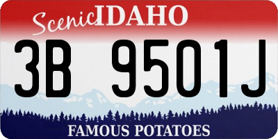 ID license plate 3B9501J