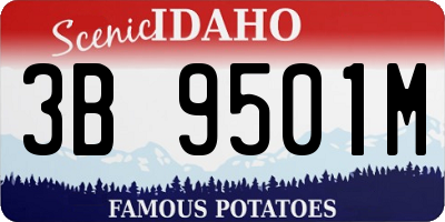ID license plate 3B9501M