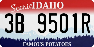 ID license plate 3B9501R