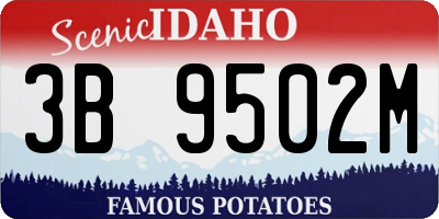 ID license plate 3B9502M