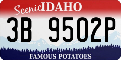 ID license plate 3B9502P