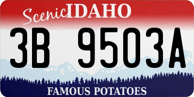 ID license plate 3B9503A