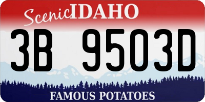 ID license plate 3B9503D
