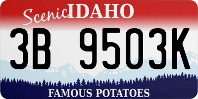 ID license plate 3B9503K
