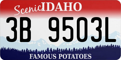 ID license plate 3B9503L