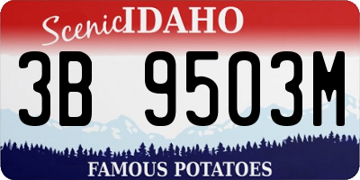 ID license plate 3B9503M