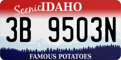 ID license plate 3B9503N