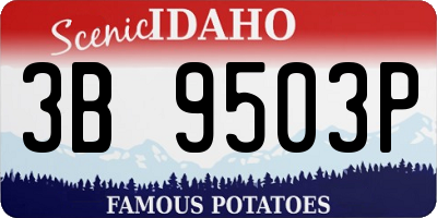ID license plate 3B9503P