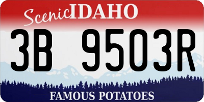 ID license plate 3B9503R