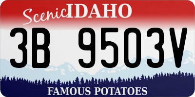 ID license plate 3B9503V