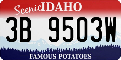 ID license plate 3B9503W