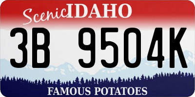 ID license plate 3B9504K