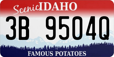 ID license plate 3B9504Q
