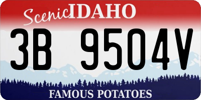 ID license plate 3B9504V