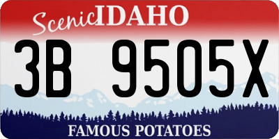 ID license plate 3B9505X