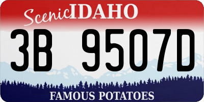 ID license plate 3B9507D