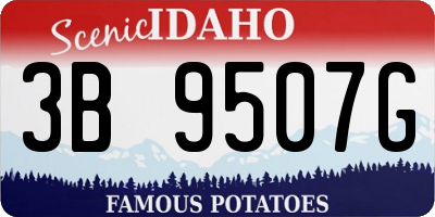 ID license plate 3B9507G