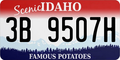 ID license plate 3B9507H
