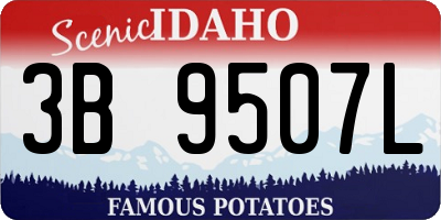 ID license plate 3B9507L