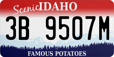 ID license plate 3B9507M