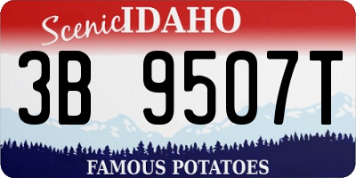 ID license plate 3B9507T