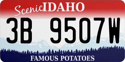 ID license plate 3B9507W