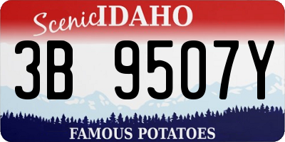 ID license plate 3B9507Y