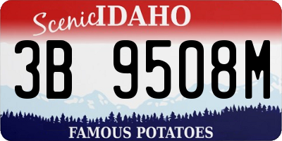 ID license plate 3B9508M