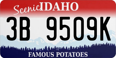 ID license plate 3B9509K