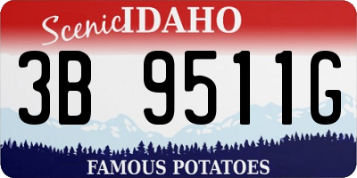 ID license plate 3B9511G