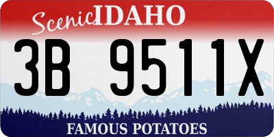 ID license plate 3B9511X