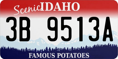 ID license plate 3B9513A