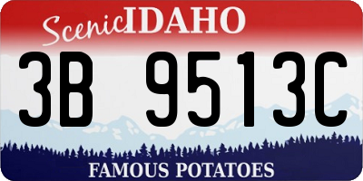 ID license plate 3B9513C