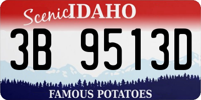 ID license plate 3B9513D