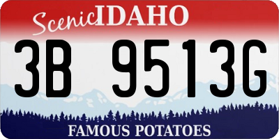 ID license plate 3B9513G