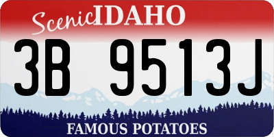 ID license plate 3B9513J