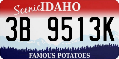 ID license plate 3B9513K
