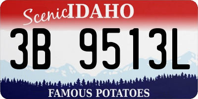 ID license plate 3B9513L