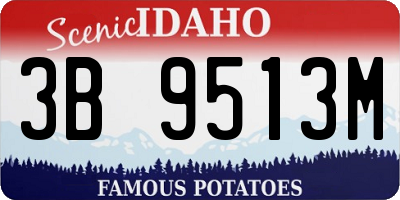 ID license plate 3B9513M