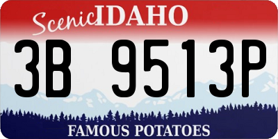 ID license plate 3B9513P