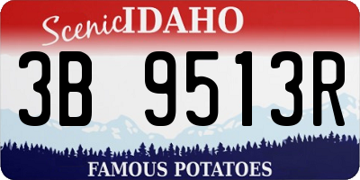 ID license plate 3B9513R