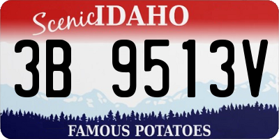 ID license plate 3B9513V