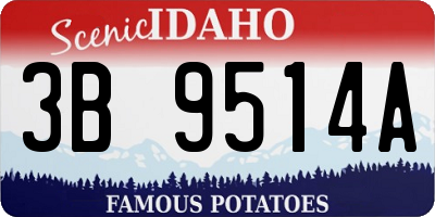 ID license plate 3B9514A