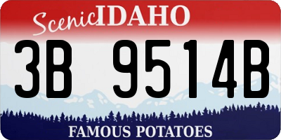 ID license plate 3B9514B