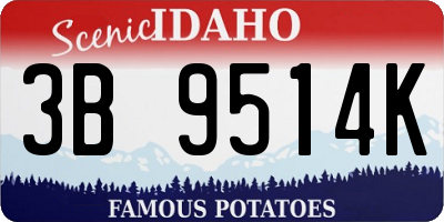 ID license plate 3B9514K