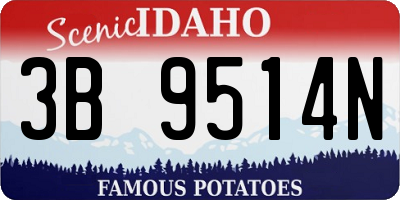 ID license plate 3B9514N